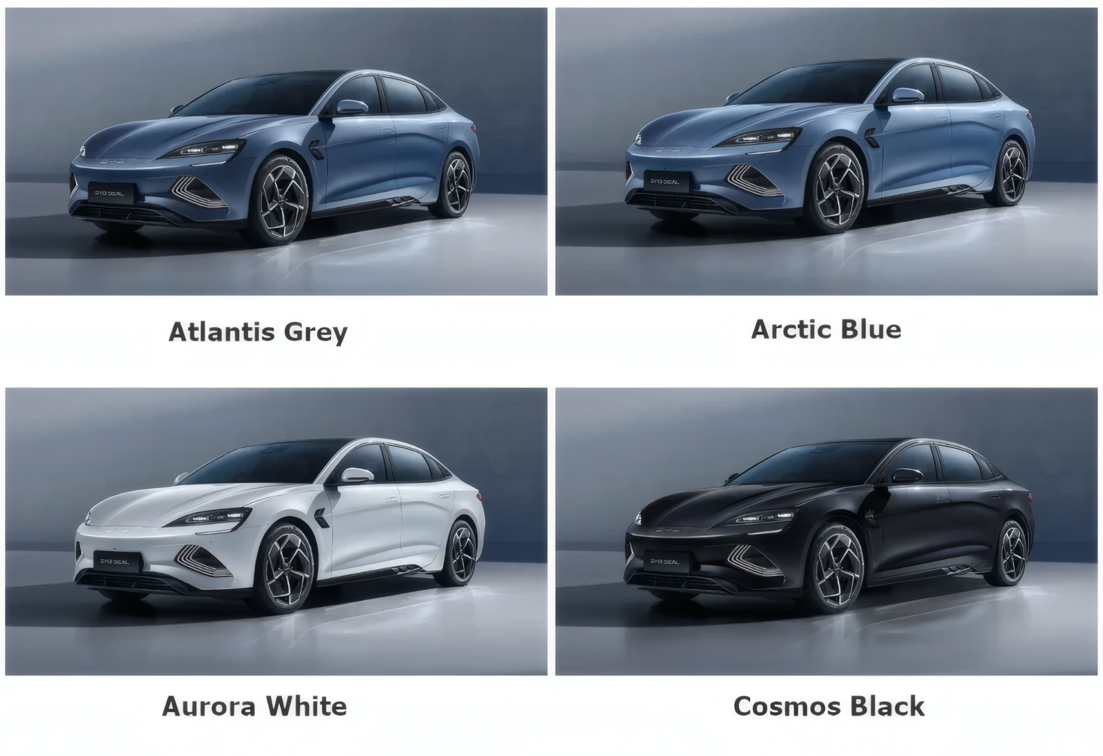 BYD Seal Color Options